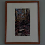 Load image into Gallery viewer, Barbara Peterson "The Ascent" Photography 11"x 14"
