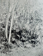 Load image into Gallery viewer, Tammy Bozer "The Silent Thicket" Watercolor on Terraskin, 11" x 15"

