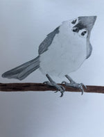 Load image into Gallery viewer, Donna Brown "Brown Tufted Titmouse" Graphite Charcoal, 9" x 12"
