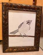 Load image into Gallery viewer, Donna Brown "Brown Tufted Titmouse" Graphite Charcoal, 9" x 12"

