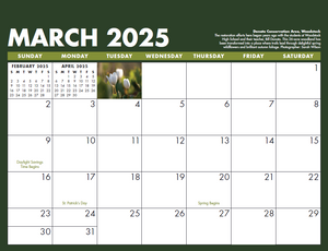 2025 TLC Calendar