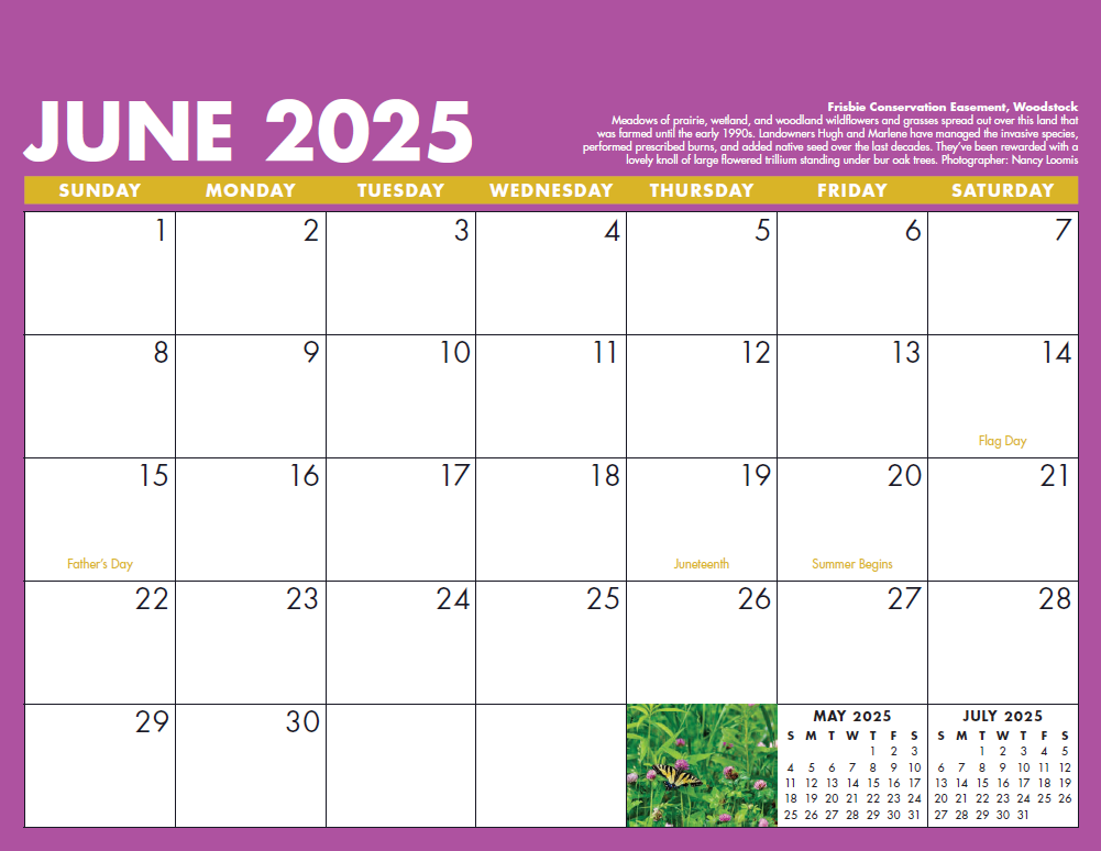 2025 TLC Calendar