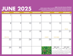 Load image into Gallery viewer, 2025 TLC Calendar
