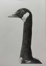 Load image into Gallery viewer, Terry Couchman "George" Ink, 10" x 6"
