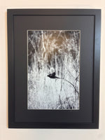 Load image into Gallery viewer, Steve Diogo "Launch" Photography, 8" x 12"
