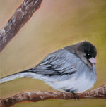 Load image into Gallery viewer, Erin Dank "Dark Eyed Junco" Oil, 12" x 12"

