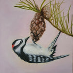 Load image into Gallery viewer, Erin Dank "Downy Woodpecker" Oil, 12" x 12"
