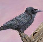 Load image into Gallery viewer, Erin Dank "Raven" Oil, 12" x 12"
