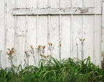 Load image into Gallery viewer, Gail Moreland "Barn Lilies" Photography, 11" x 14"
