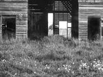 Load image into Gallery viewer, Gail Moreland "Country Birdhouse" Photography, 12" x 16"
