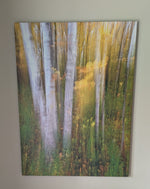 Load image into Gallery viewer, Brad Schmitt "Gold and White" Photography, 30" X 40"
