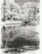 Load image into Gallery viewer, Wendy Hadden "The Quiet Crossing" Photography, 8" x 10"
