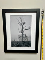 Load image into Gallery viewer, Jennifer Rasmussen "Haunting Silence" Photography, 8" x 12"
