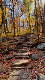 Load image into Gallery viewer, Barbara Peterson "The Ascent" Photography 11"x 14"
