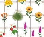 Load image into Gallery viewer, Sun Garden Kit: Pocket Prairie!
