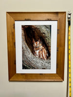 Load image into Gallery viewer, Jennifer Rasmussen "The Watcher Within" Photography, 8" x 12"
