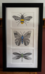 Load image into Gallery viewer, Terry Couchman "Winged Whimsy" Ink, 11" x 24"
